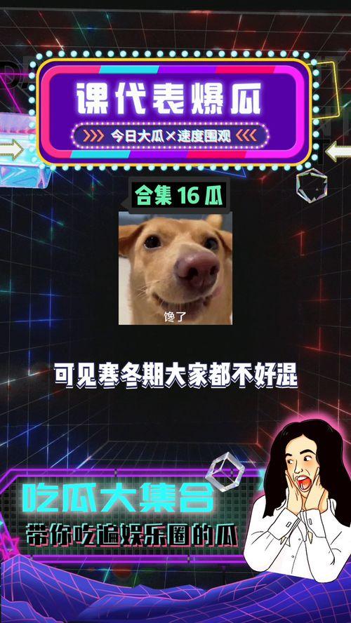娱乐八卦吃瓜配图大全,吃瓜配图大全，带你领略明星幕后故事