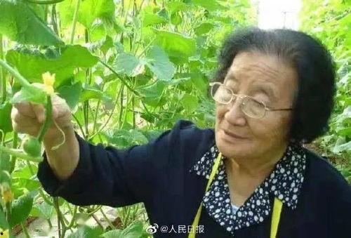 新疆人住宫殿娱乐吃瓜,一场别开生面的生活画卷