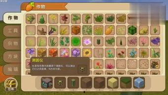 娱乐吃瓜狐狸,揭秘娱乐圈幕后故事