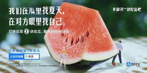 娱乐吃瓜常用文案,明星们的幕后故事与八卦风云