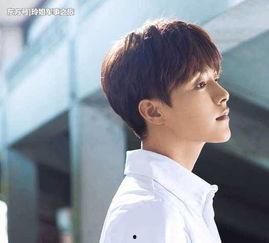 马天宇娱乐吃瓜视频大全,揭秘明星幕后生活，笑料不断