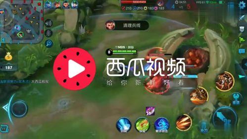 吃瓜娱乐背景音乐有哪些